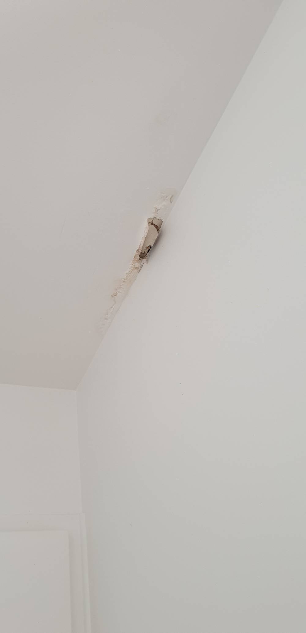 20201106_150142-min.jpg