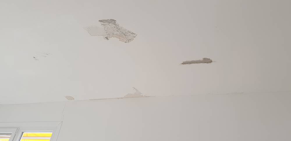 20210217_093426.jpg