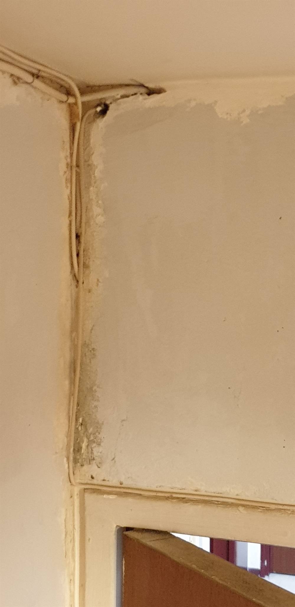 Rénovation entrée couloir - Bagneux (7).jpg